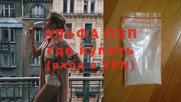 прущие грибы Осинники